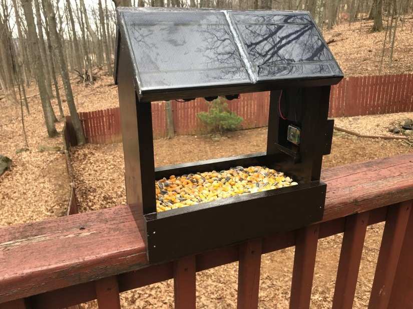 A Solar Powered Squirrelhouse